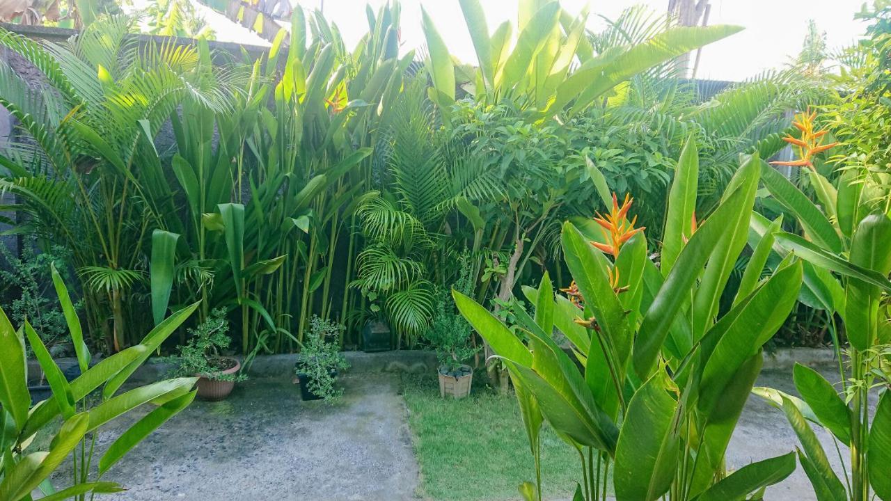 The Cozy Bidara Nusa Penida Toyapakeh المظهر الخارجي الصورة